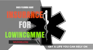 Florida's Low-Income Insurance: What You Need to Know