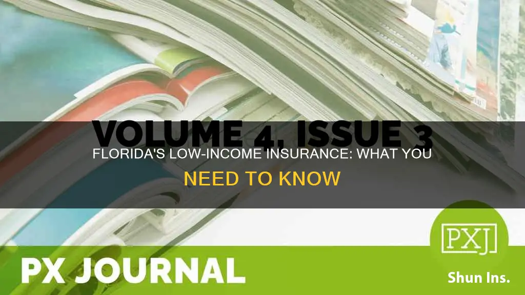 does florida have insurance for lowincomme