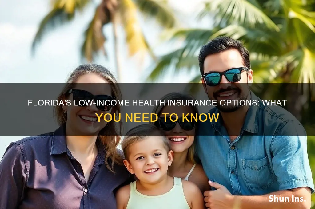 does florida have low income health insurance