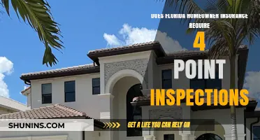 Florida Homeowner Insurance: 4-Point Inspections Essential?