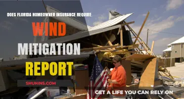 Florida Homeowner Insurance: Wind Mitigation Report Requirements