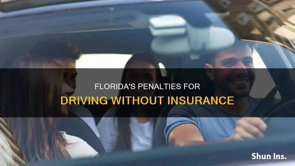 does florida penalize you for not having insurance