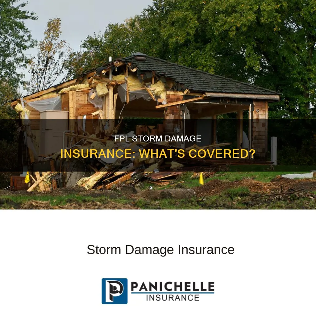 does florida power and light corporation carry storm damage insurance