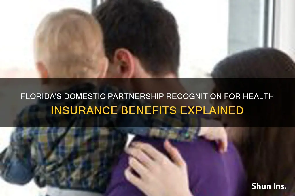does florida recognize domestic partnership for health insurance