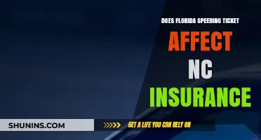 Speeding Tickets: Florida and NC Insurance Concerns