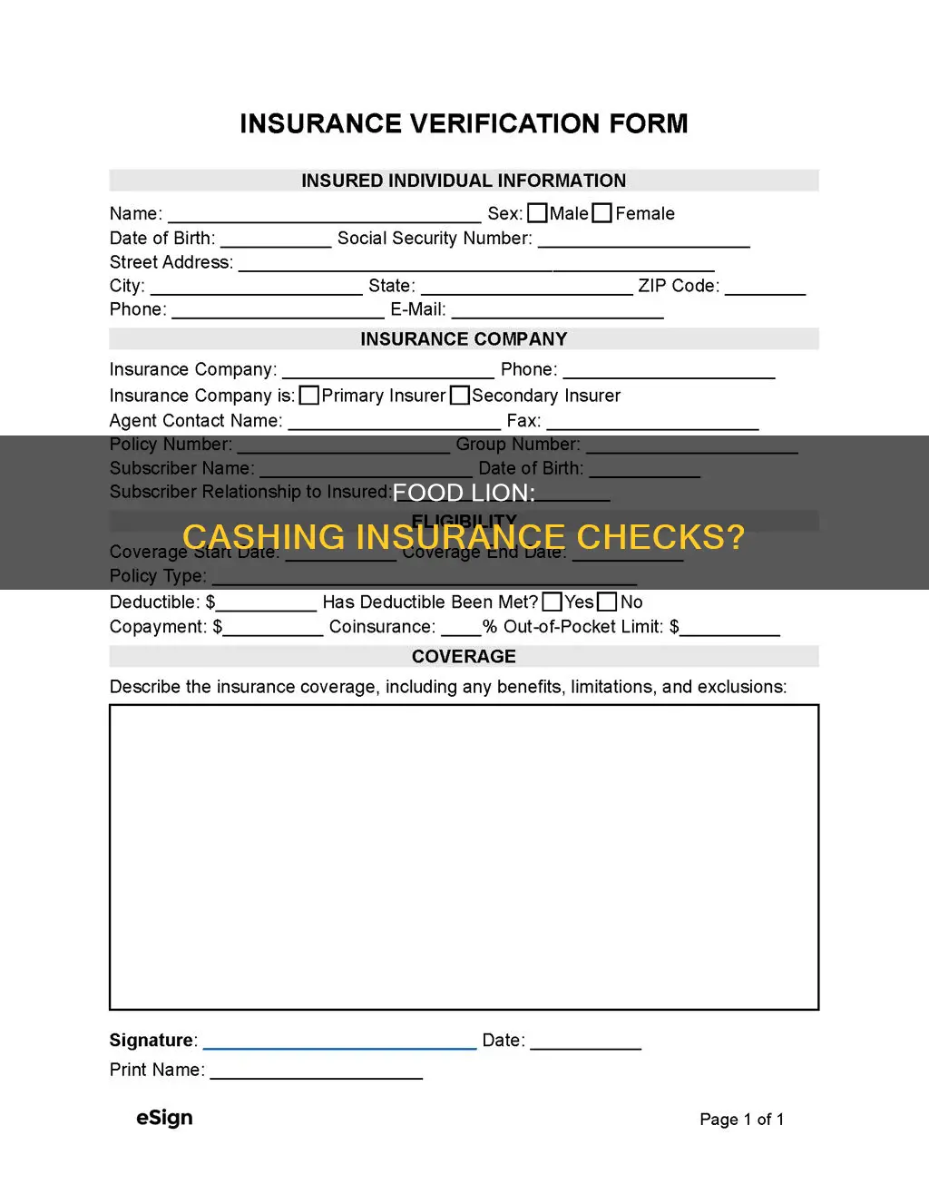 does food lion cash insurance checks