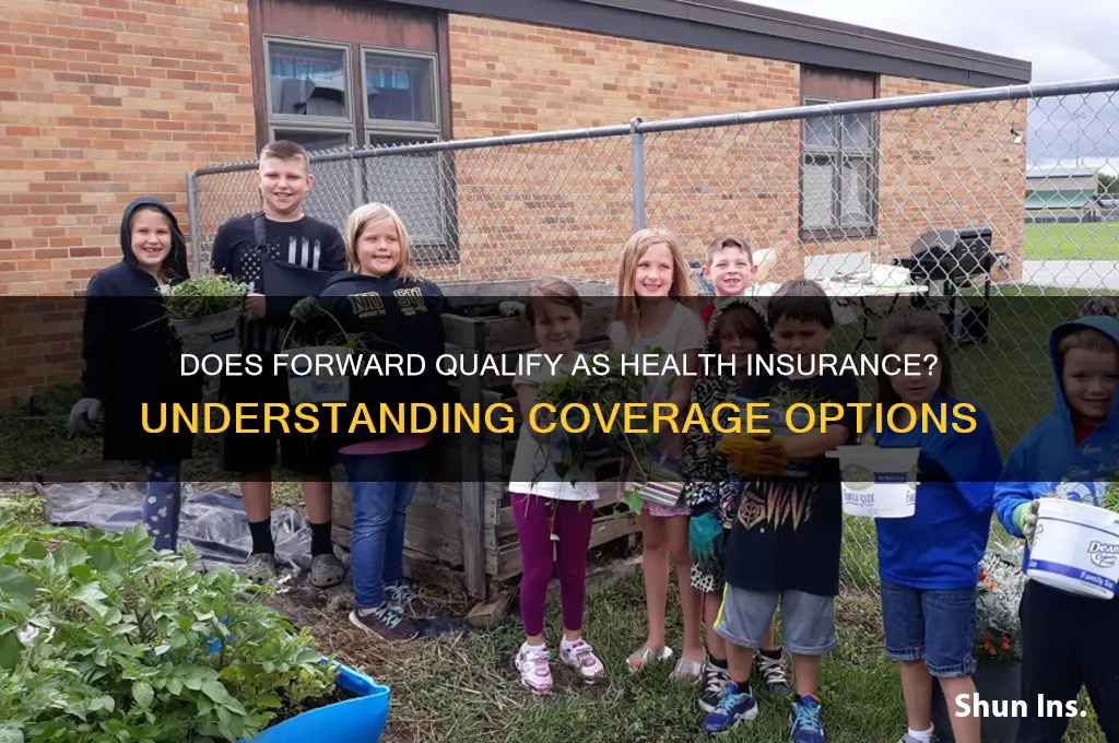 does forward count as health insurance