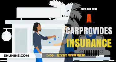 Does Fox Rent a Car Provide Insurance? A Comprehensive Guide
