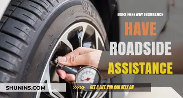 Does Freeway Insurance Offer Roadside Assistance? A Comprehensive Guide