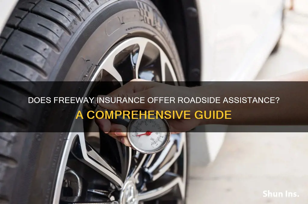 does freeway insurance have roadside assistance