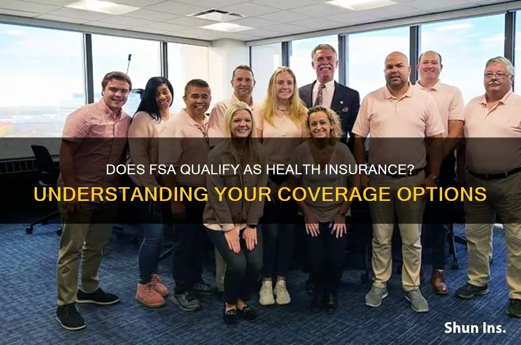 does fsa count as health insurance