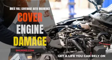 Full Coverage Auto Insurance: Engine Damage Protection