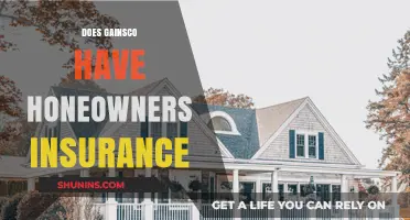 Does Gainsco Offer Homeowners Insurance? Exploring Coverage Options and Alternatives