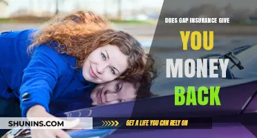 Gap Insurance: Money Back or Not?