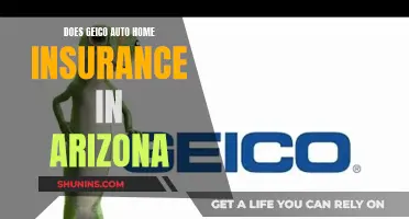 GEICO Auto and Home Insurance in Arizona: What You Need to Know