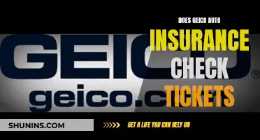 Geico Auto Insurance and Traffic Tickets: What You Need to Know