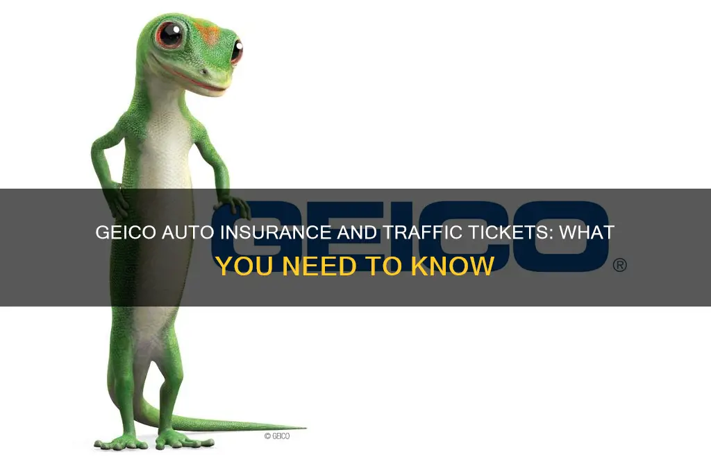 does geico auto insurance check tickets