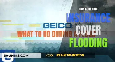 Does GEICO Cover Flood Damage to Your Car?