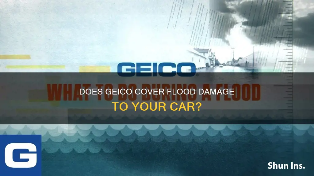 does geico auto insurance cover flooding