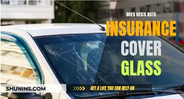 Does GEICO Cover Windshield Claims?