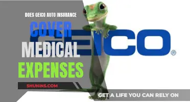 GEICO Auto Insurance: Understanding Medical Expense Coverage