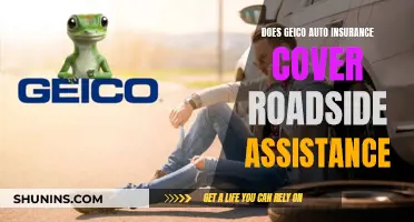 GEICO Roadside Assistance: What's Covered and What's Not