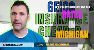 Geico Auto Insurance Rates in Michigan: Are They Competitive?