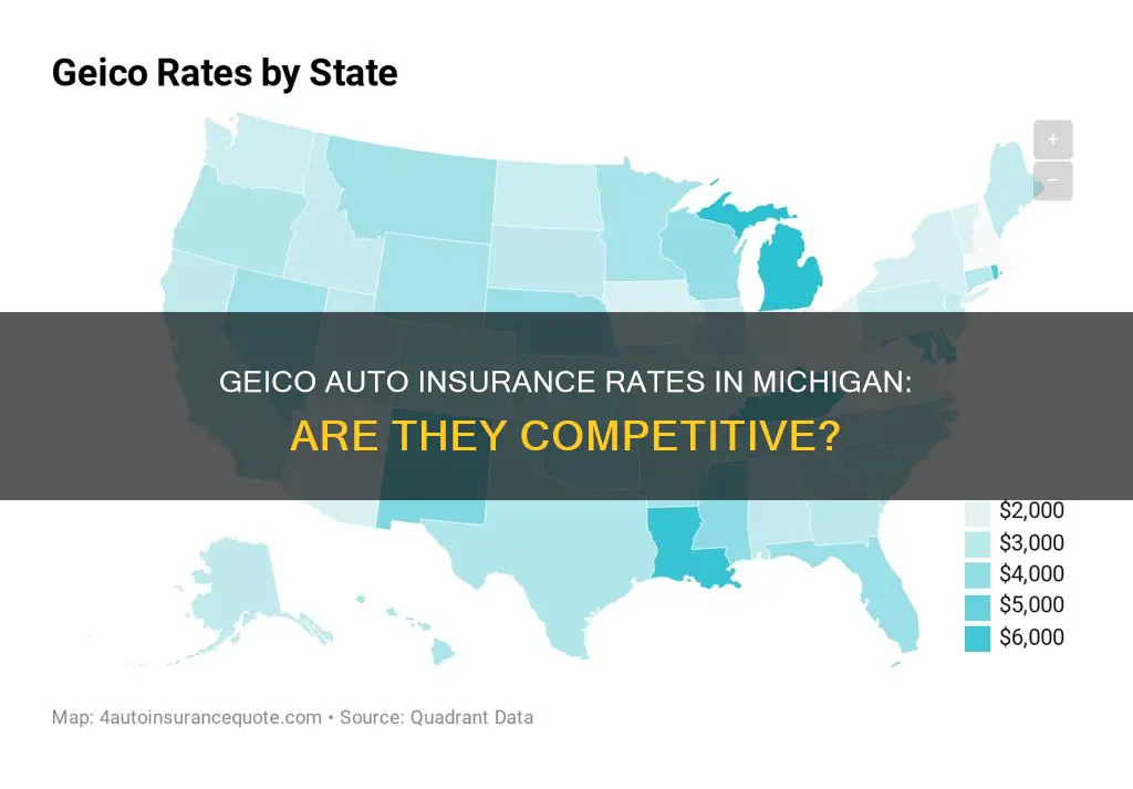 does geico auto insurance have high rates in Michigan