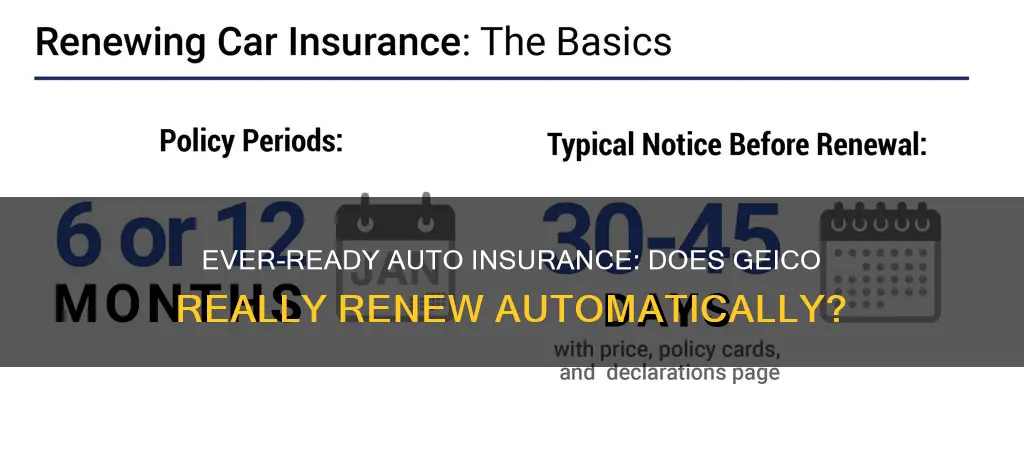 does geico automatically renew auto insurance