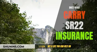 GEICO: SR-22 Insurance Availability