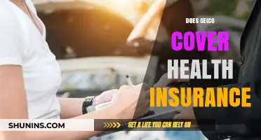 Does GEICO Offer Health Insurance Coverage? Exploring Your Options