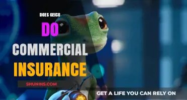 GEICO: Commercial Insurance Options and Availability