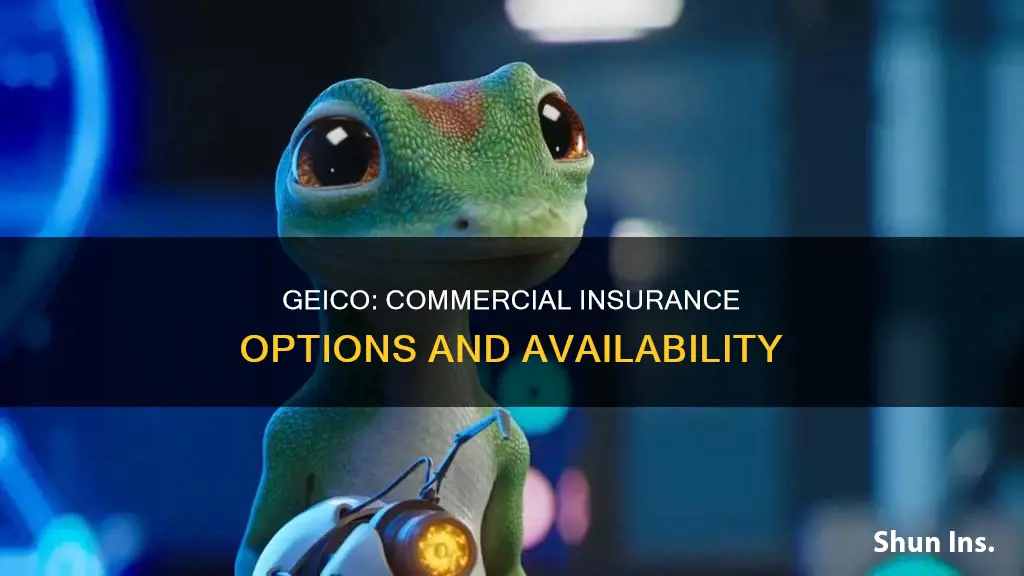 does geico do commercial insurance