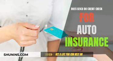 Geico Auto Insurance: Unraveling the Credit Check Mystery