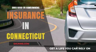 Home Insurance: Geico's Connecticut Coverage Options