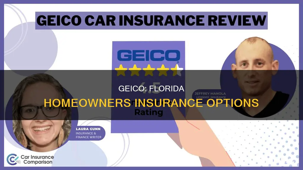 does geico do homeowners insurance in Florida