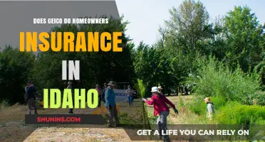 GEICO's Home Insurance: Available in Idaho?