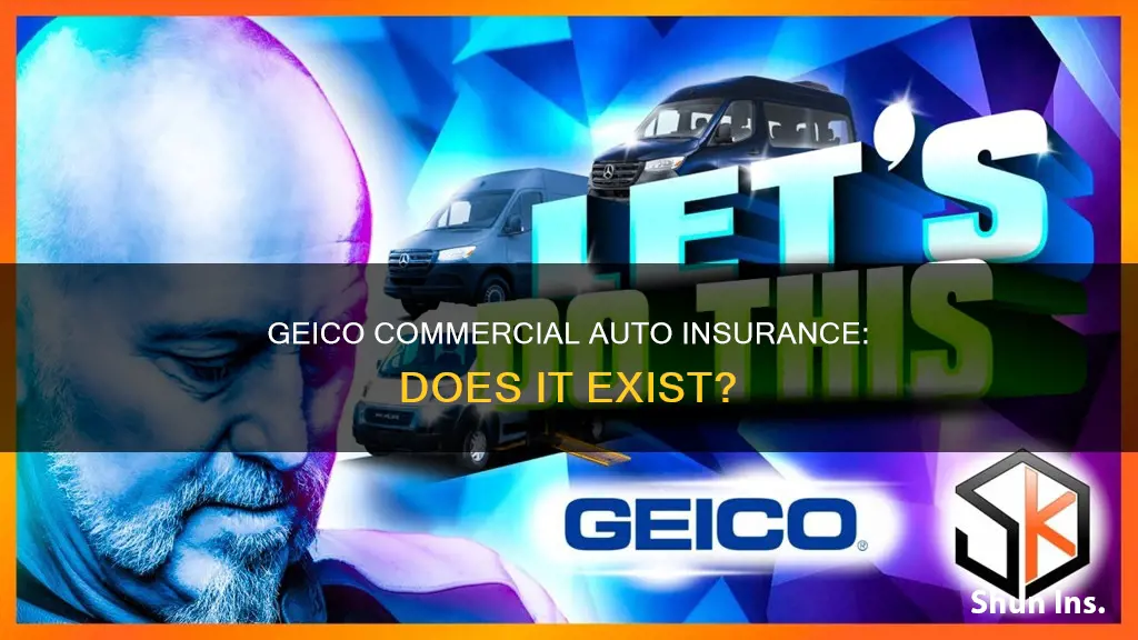 does geico have commercial auto insurance