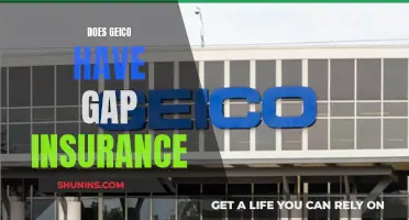 GEICO: Gap Insurance Coverage