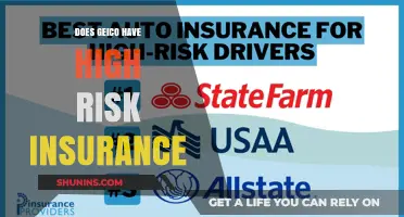High-Risk Insurance: Does GEICO Offer Coverage?