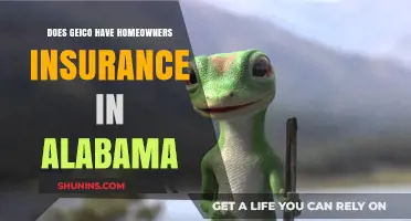 GEICO's Home Insurance in Alabama: What You Need to Know