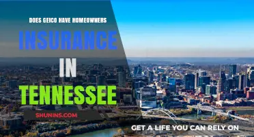 GEICO: Homeowners Insurance in Tennessee — What to Know