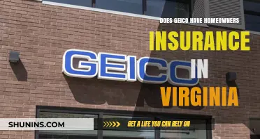 Geico's Home Insurance in Virginia: What You Need to Know