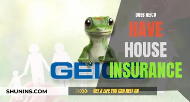 GEICO: Auto and Home Insurance?