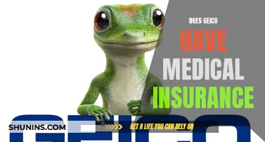 Geico's Medical Insurance: What You Need to Know