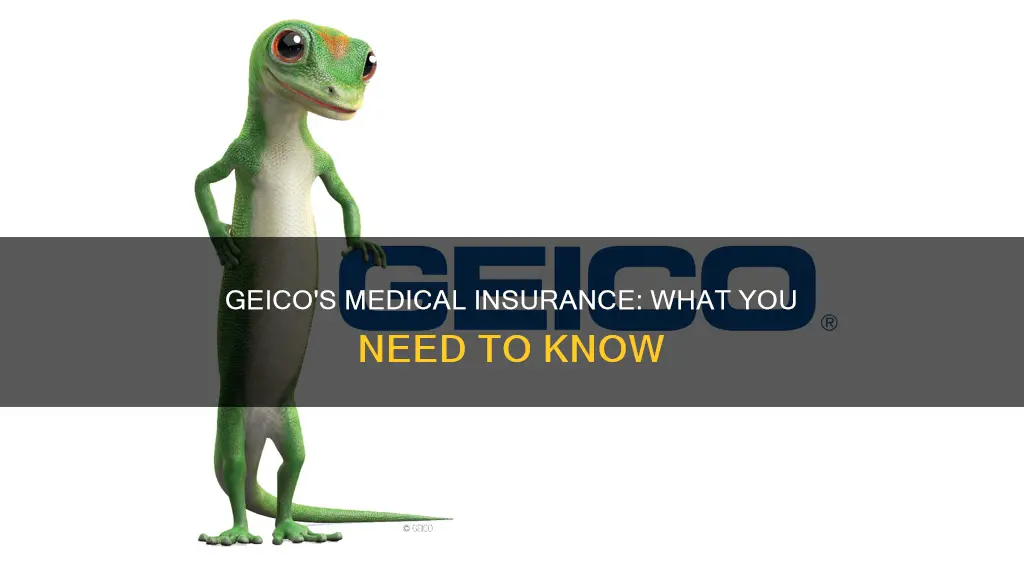 does geico have medical insurance