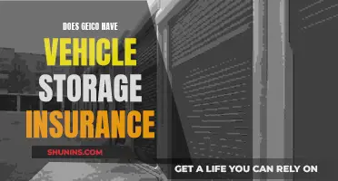 GEICO Vehicle Storage: Insured?