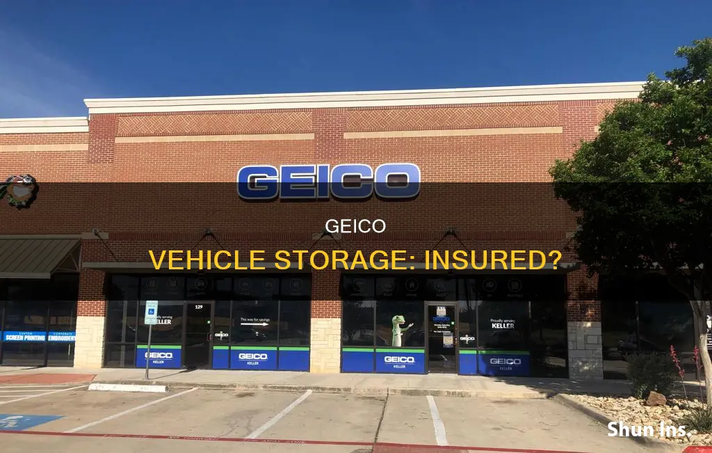 does geico have vehicle storage insurance