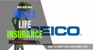 Geico's Whole Life Insurance: What You Need to Know