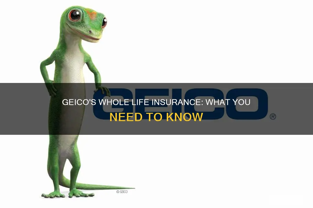 does geico have whole life insurance